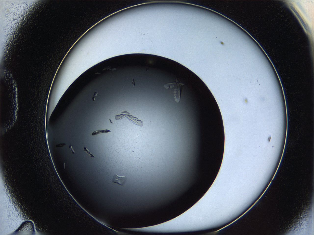 060e_D11_ImagerDefaults_9.jpg