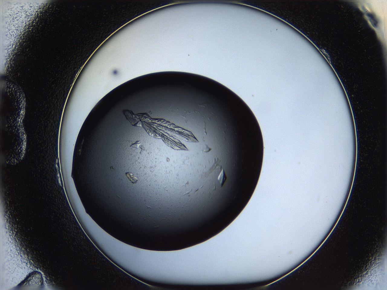 060e_B11_ImagerDefaults_9.jpg