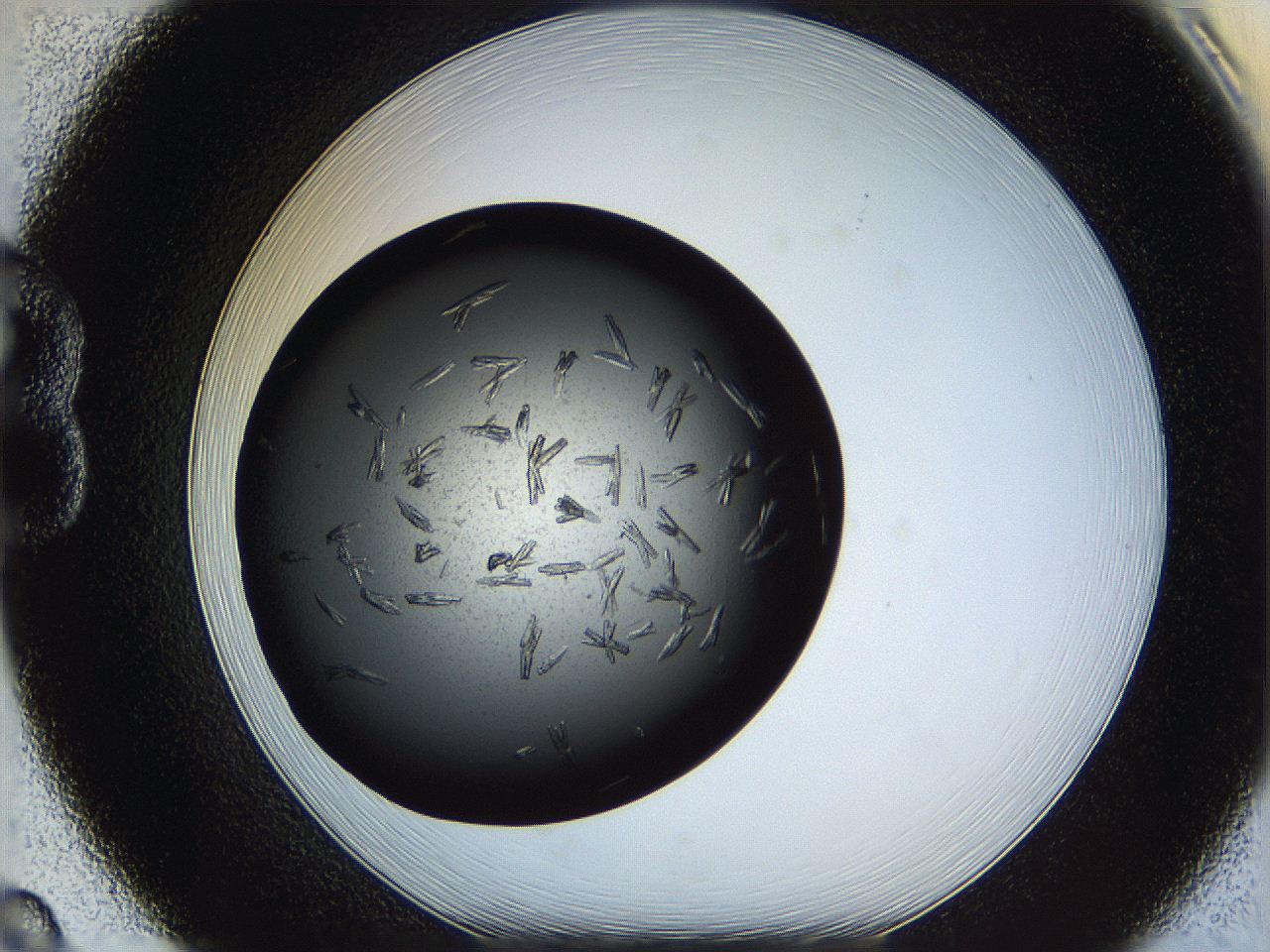060e_B8_ImagerDefaults_7.jpg