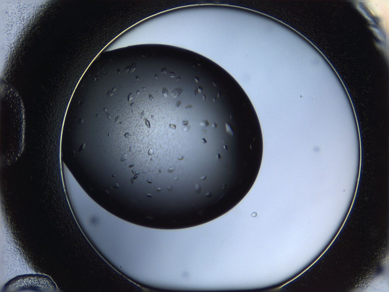 060f_D12_ImagerDefaults_7.jpg