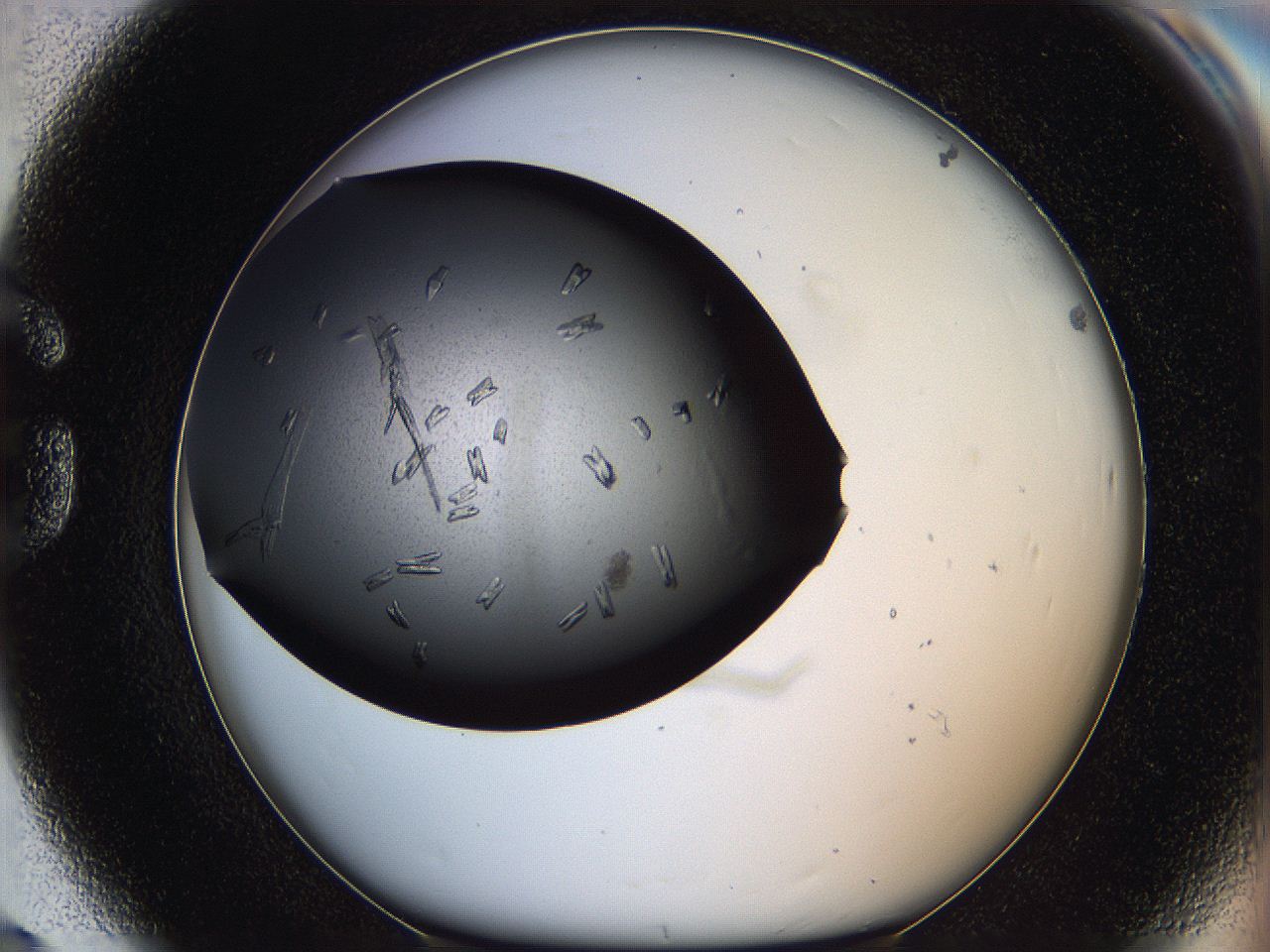 060f_G8_ImagerDefaults_7.jpg
