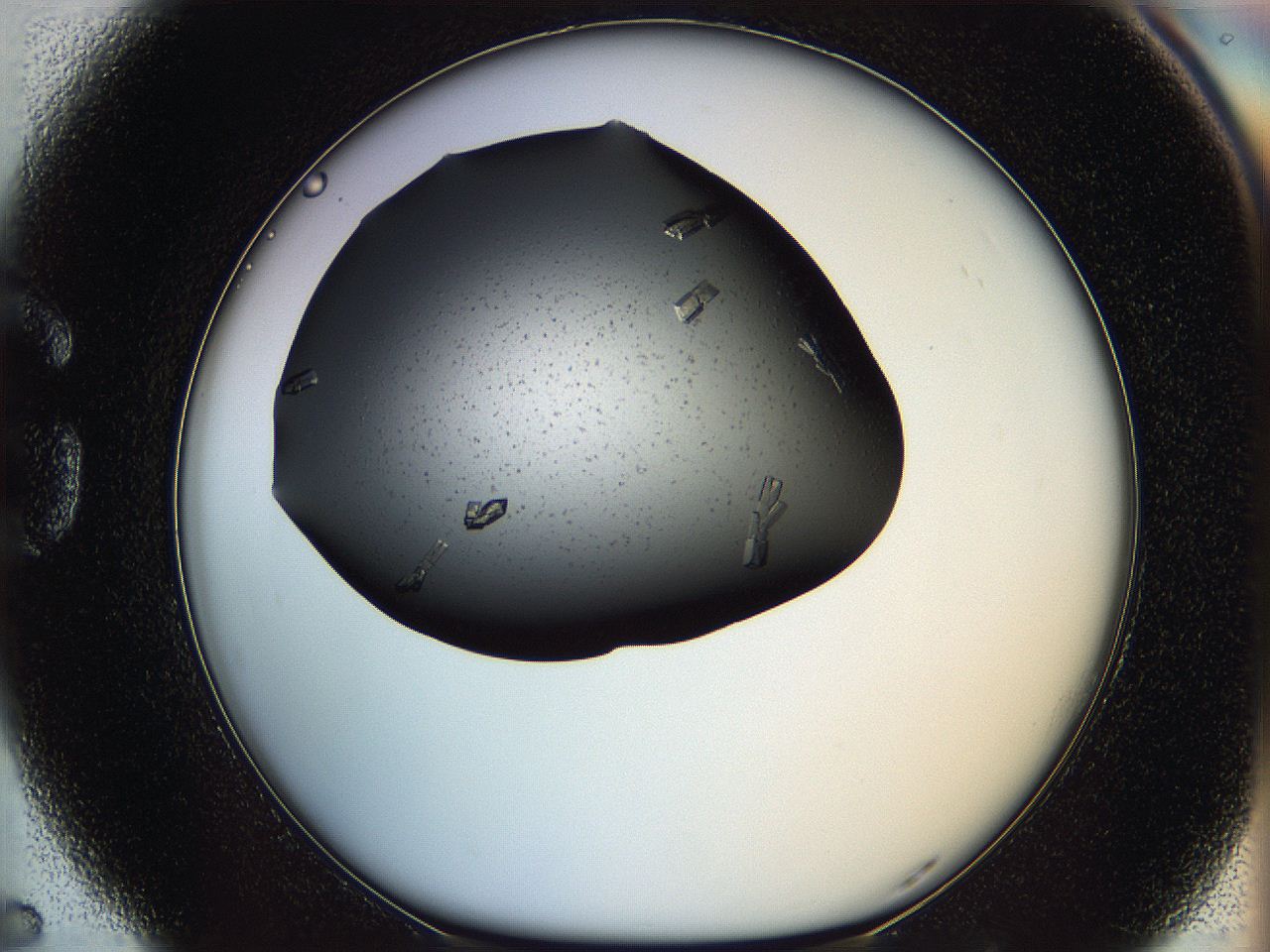 060f_G5_ImagerDefaults_8.jpg