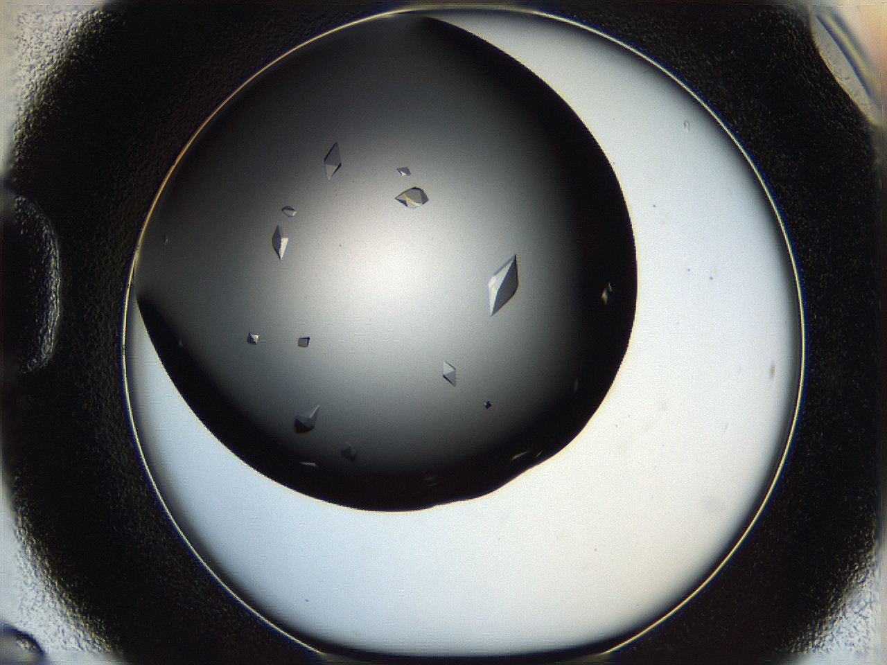 060f_D6_ImagerDefaults_9.jpg