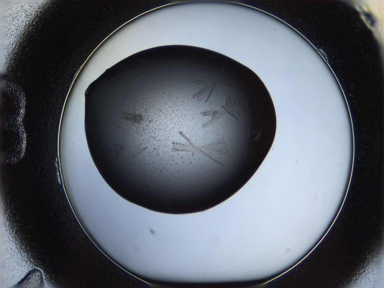 060f_B11_ImagerDefaults_6.jpg