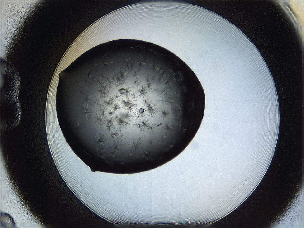 060f_B8_ImagerDefaults_7.jpg