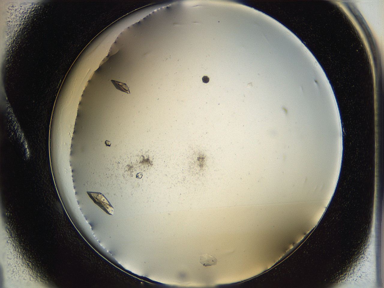 060g_A1_ImagerDefaults_9.jpg