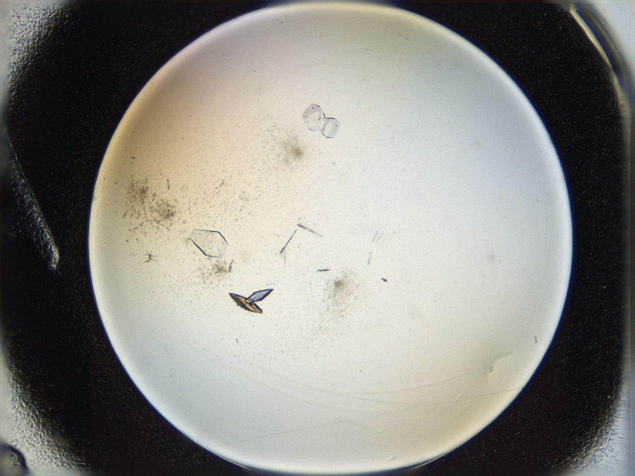 060g_A3_ImagerDefaults_9.jpg