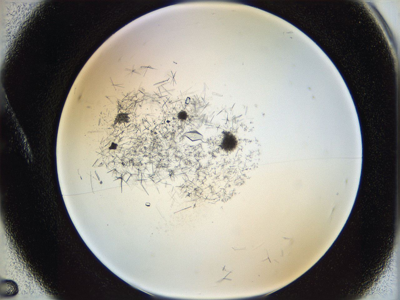 060g_A5_ImagerDefaults_9.jpg