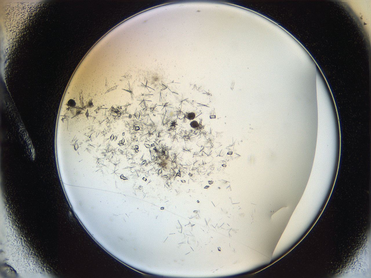 060g_A9_ImagerDefaults_8.jpg