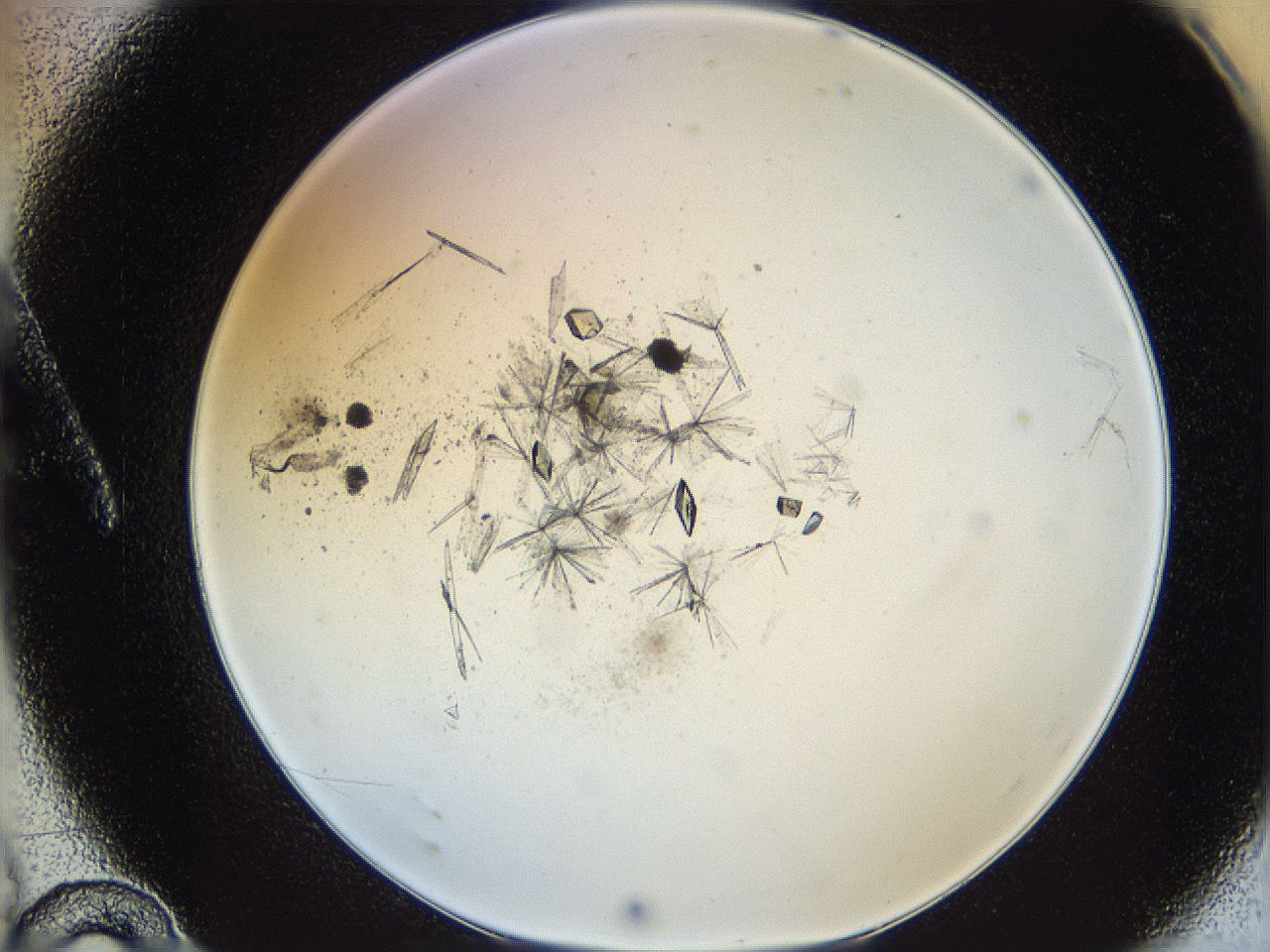 060g_A10_ImagerDefaults_9.jpg
