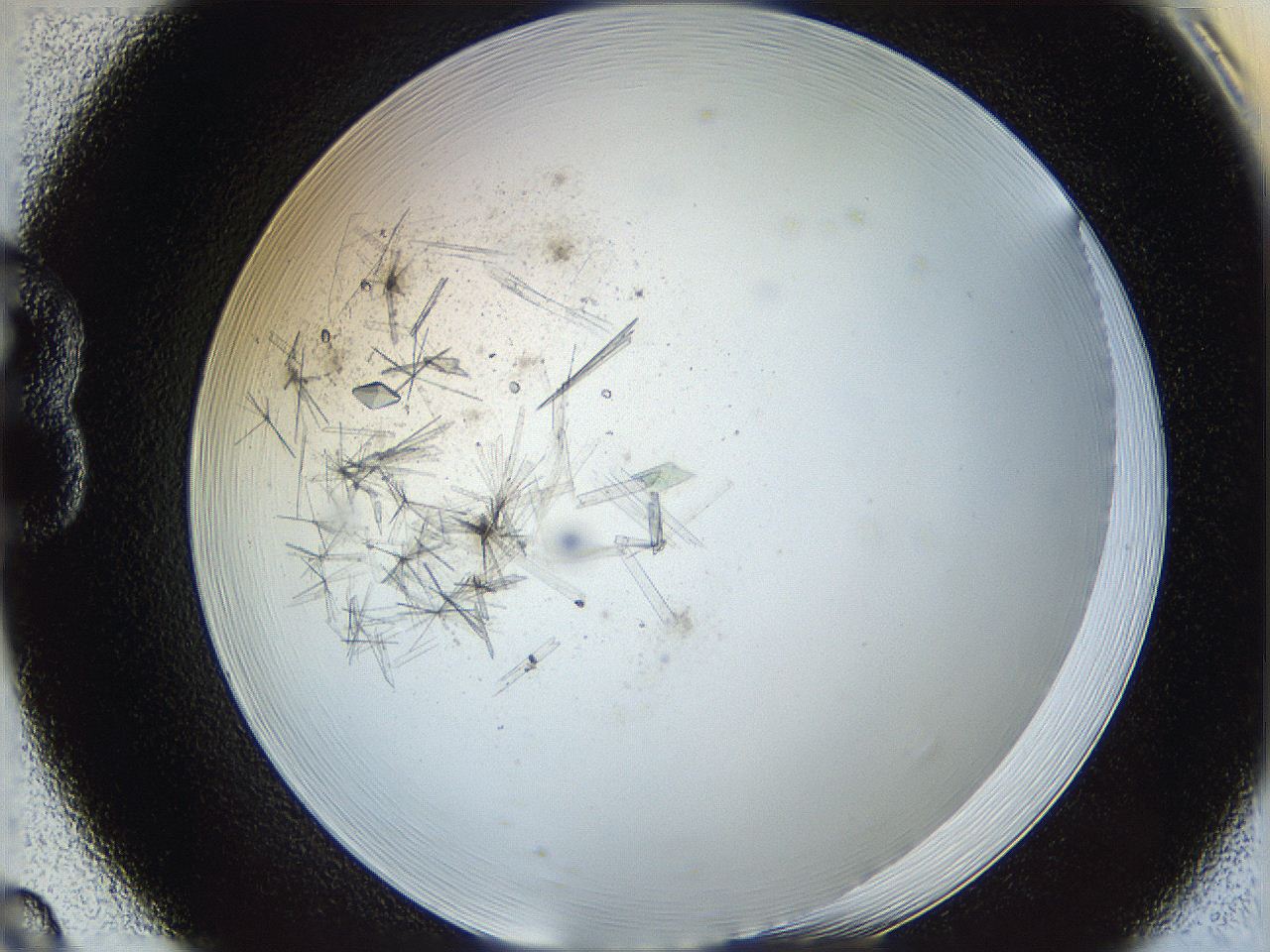 060g_B8_ImagerDefaults_8.jpg