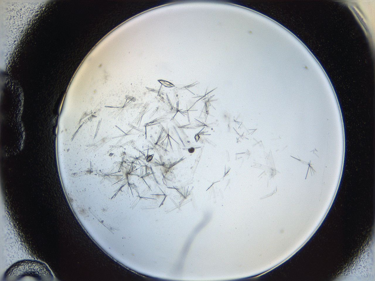 060g_B10_ImagerDefaults_8.jpg