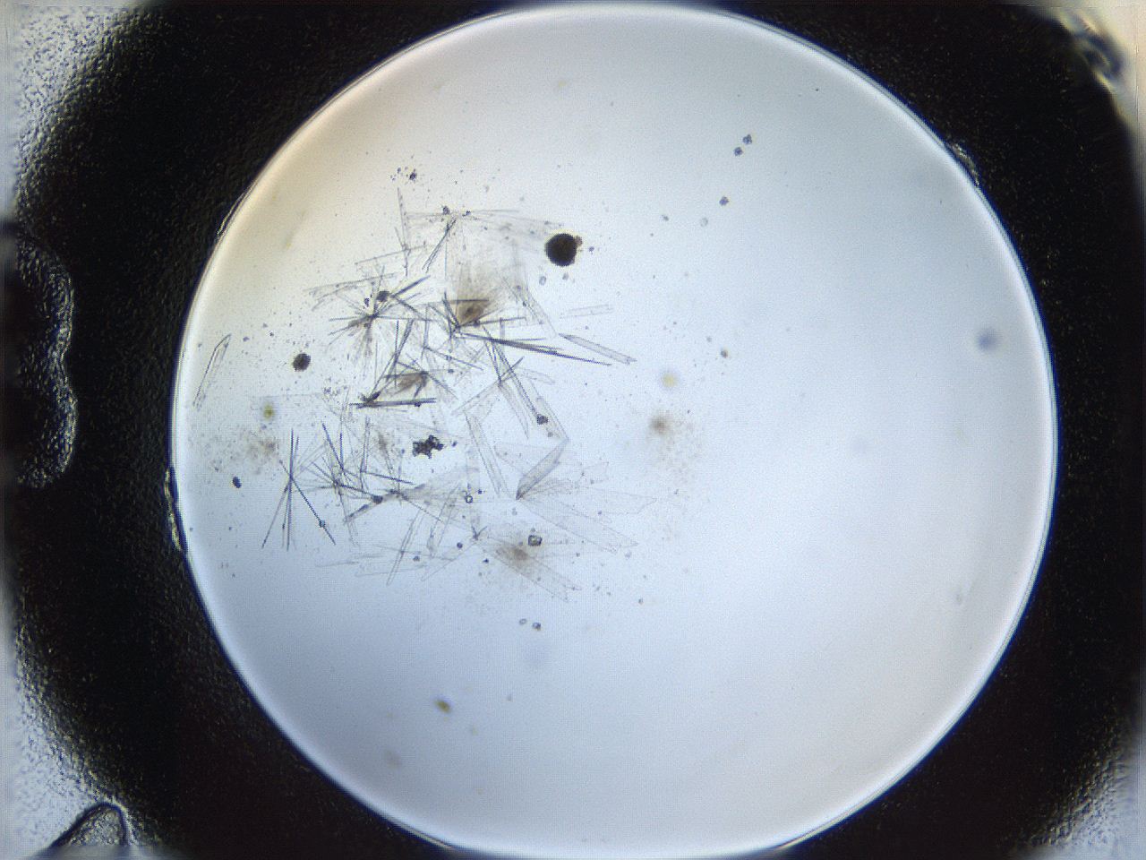 060g_B11_ImagerDefaults_7.jpg