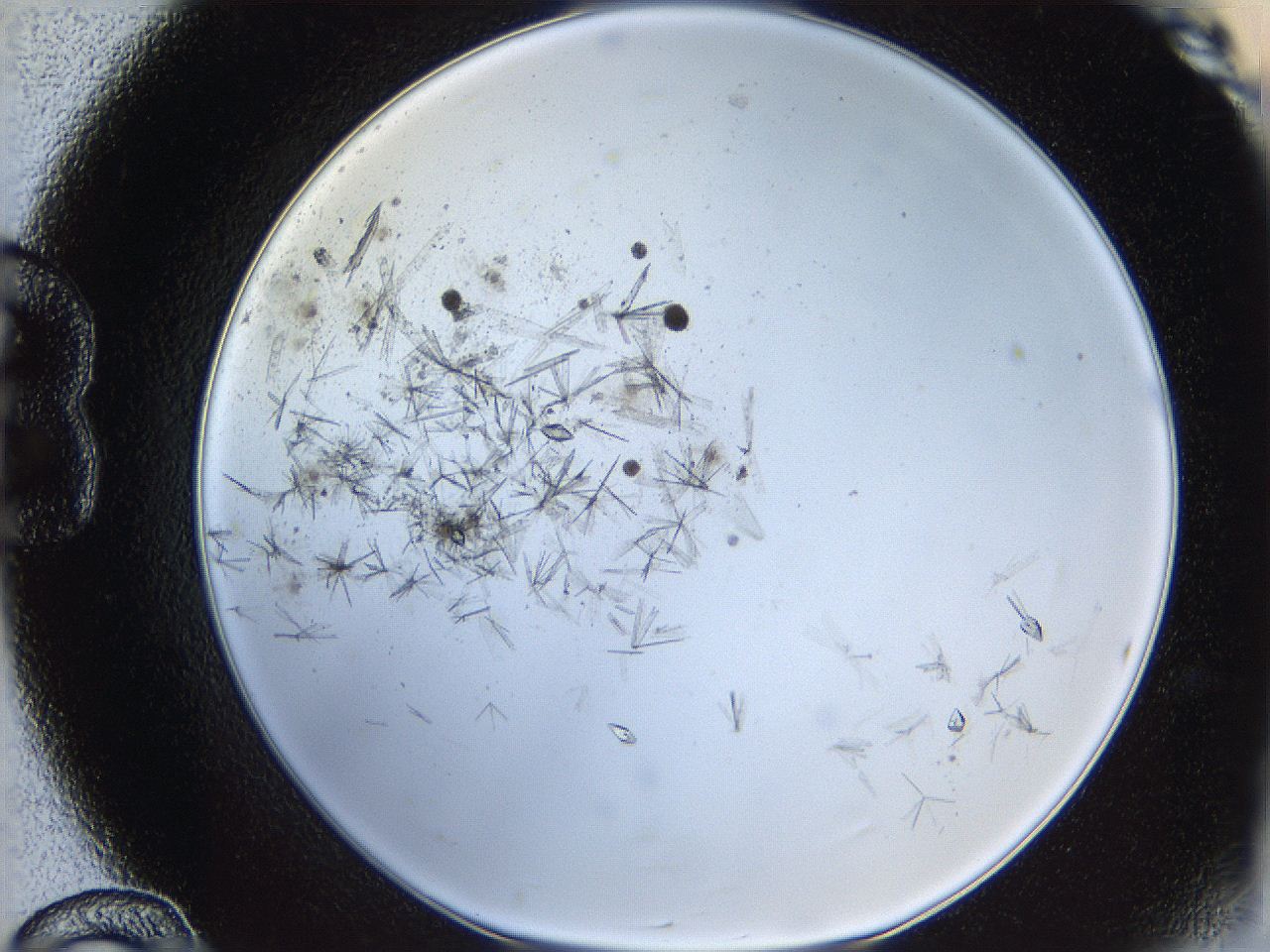 060g_B12_ImagerDefaults_7.jpg