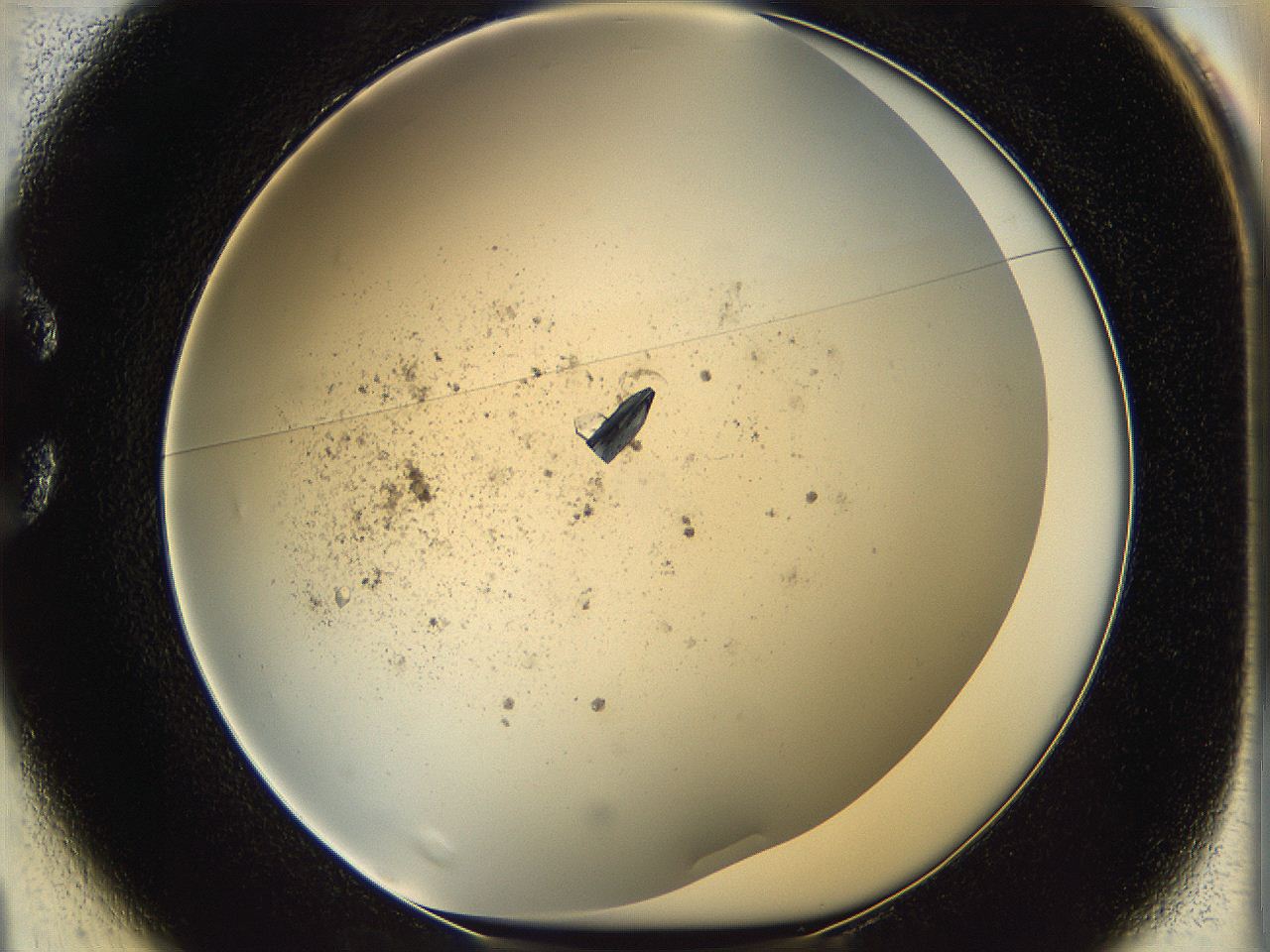 060g_C1_ImagerDefaults_9.jpg