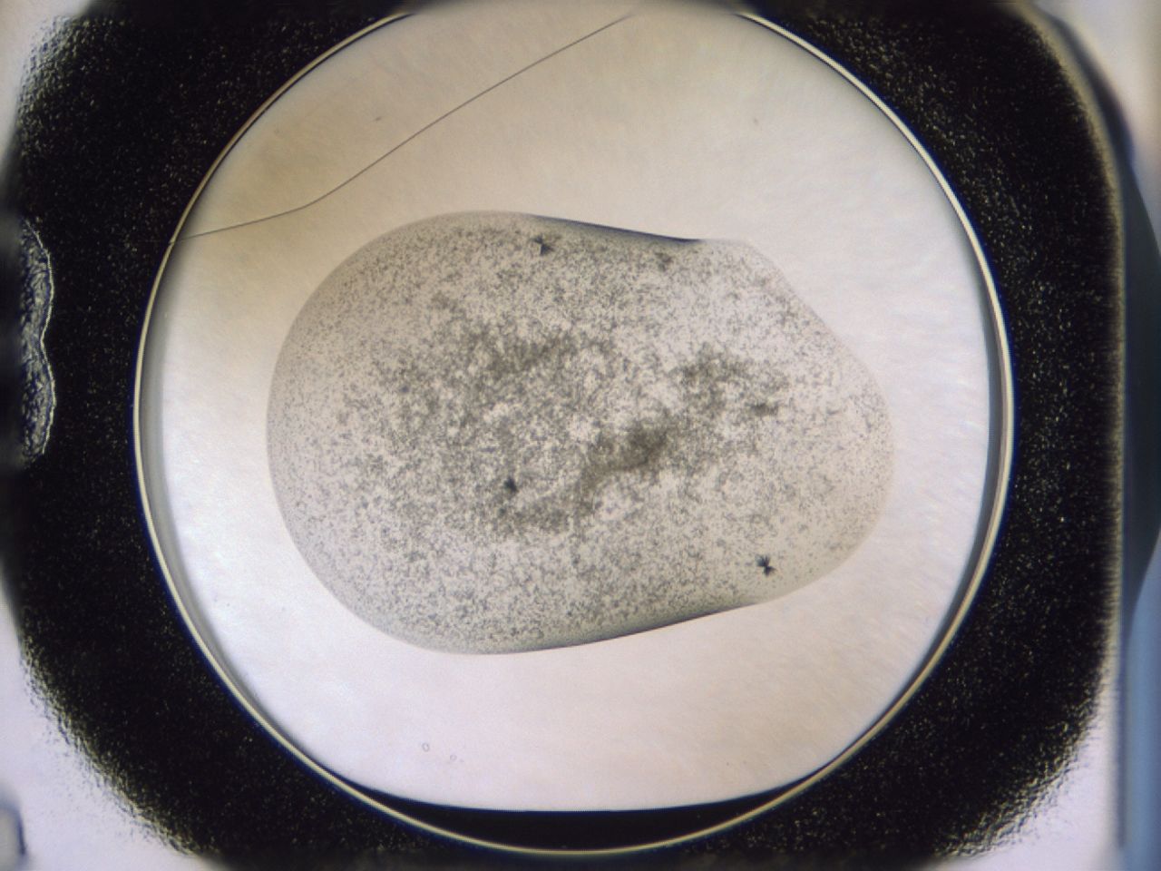 025t_B3_ImagerDefaults_7.jpg