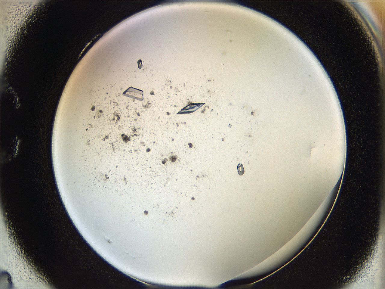 060g_C4_ImagerDefaults_9.jpg