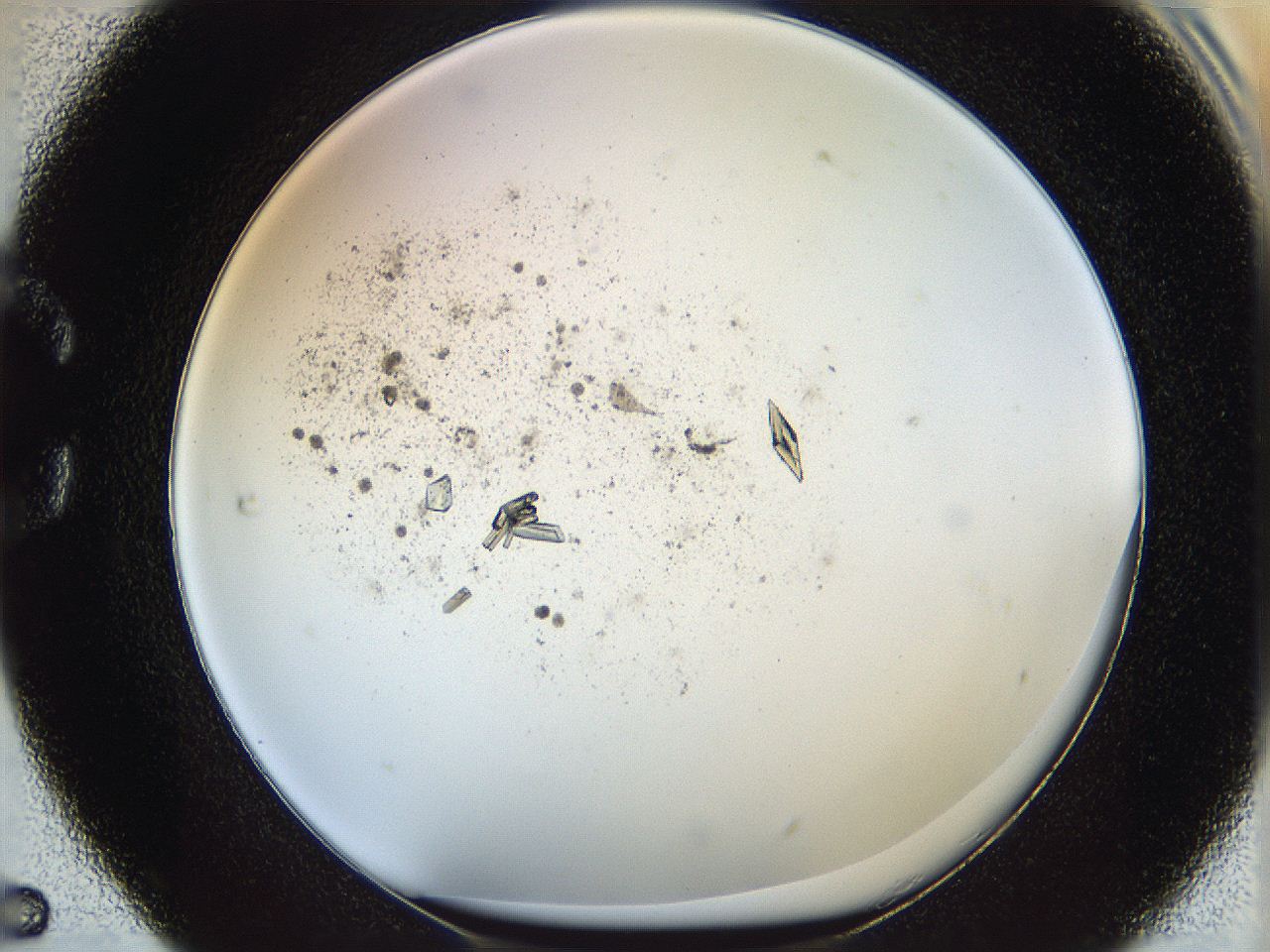 060g_C5_ImagerDefaults_9.jpg