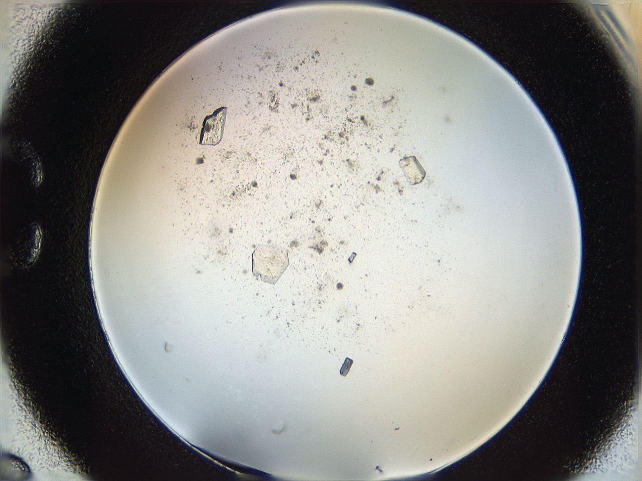 060g_C6_ImagerDefaults_9.jpg