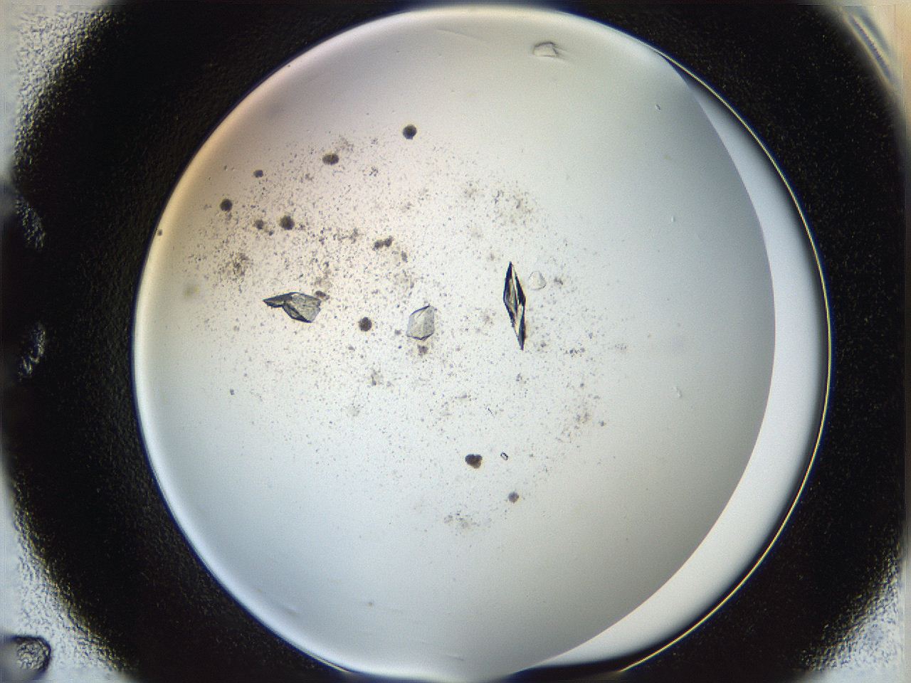 060g_C7_ImagerDefaults_9.jpg