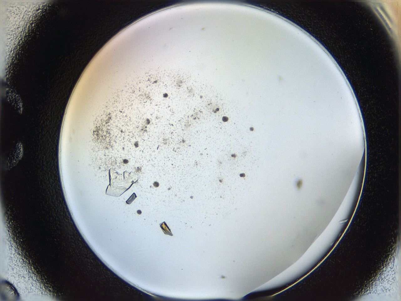 060g_C8_ImagerDefaults_9.jpg