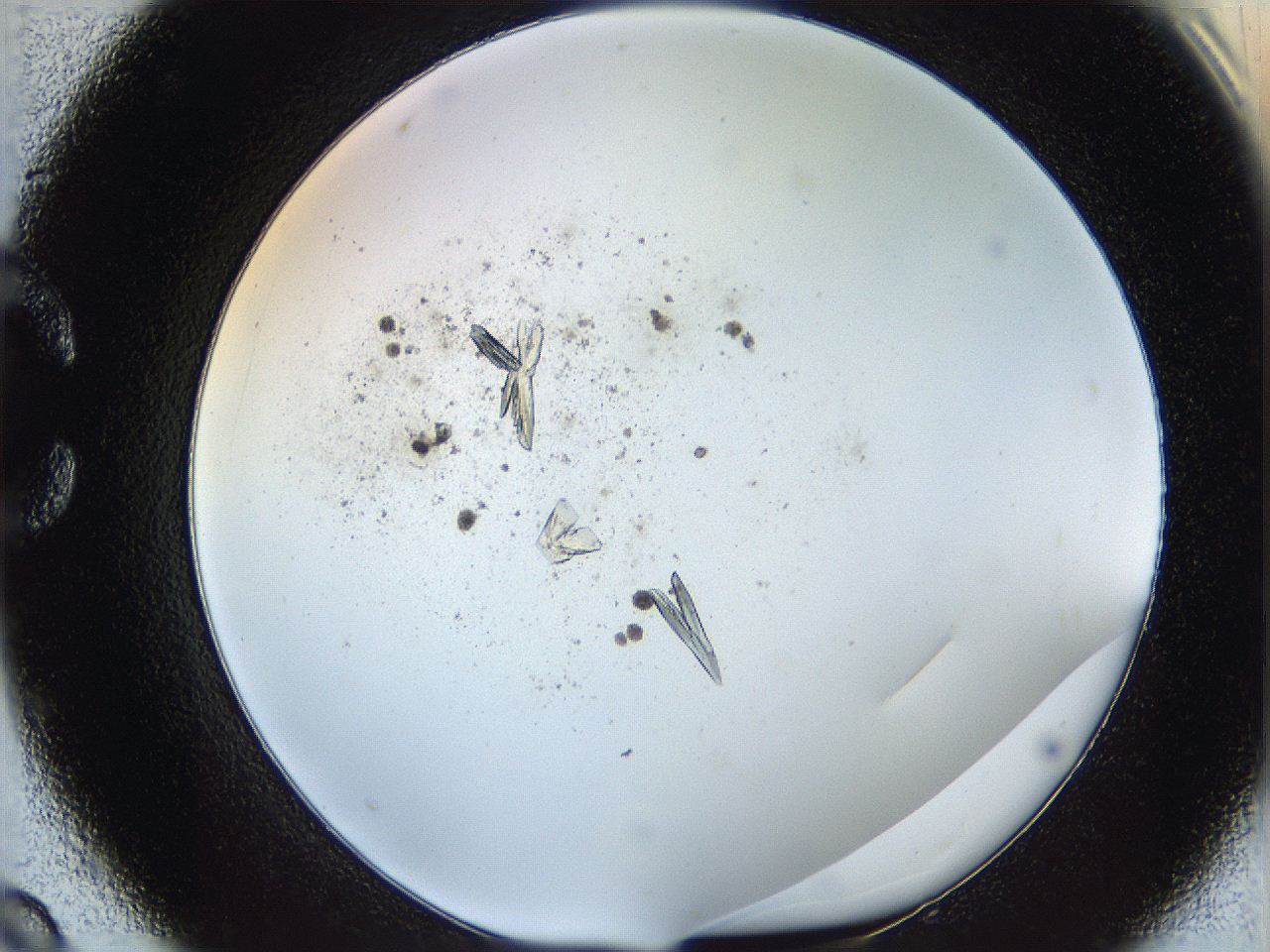 060g_C9_ImagerDefaults_8.jpg