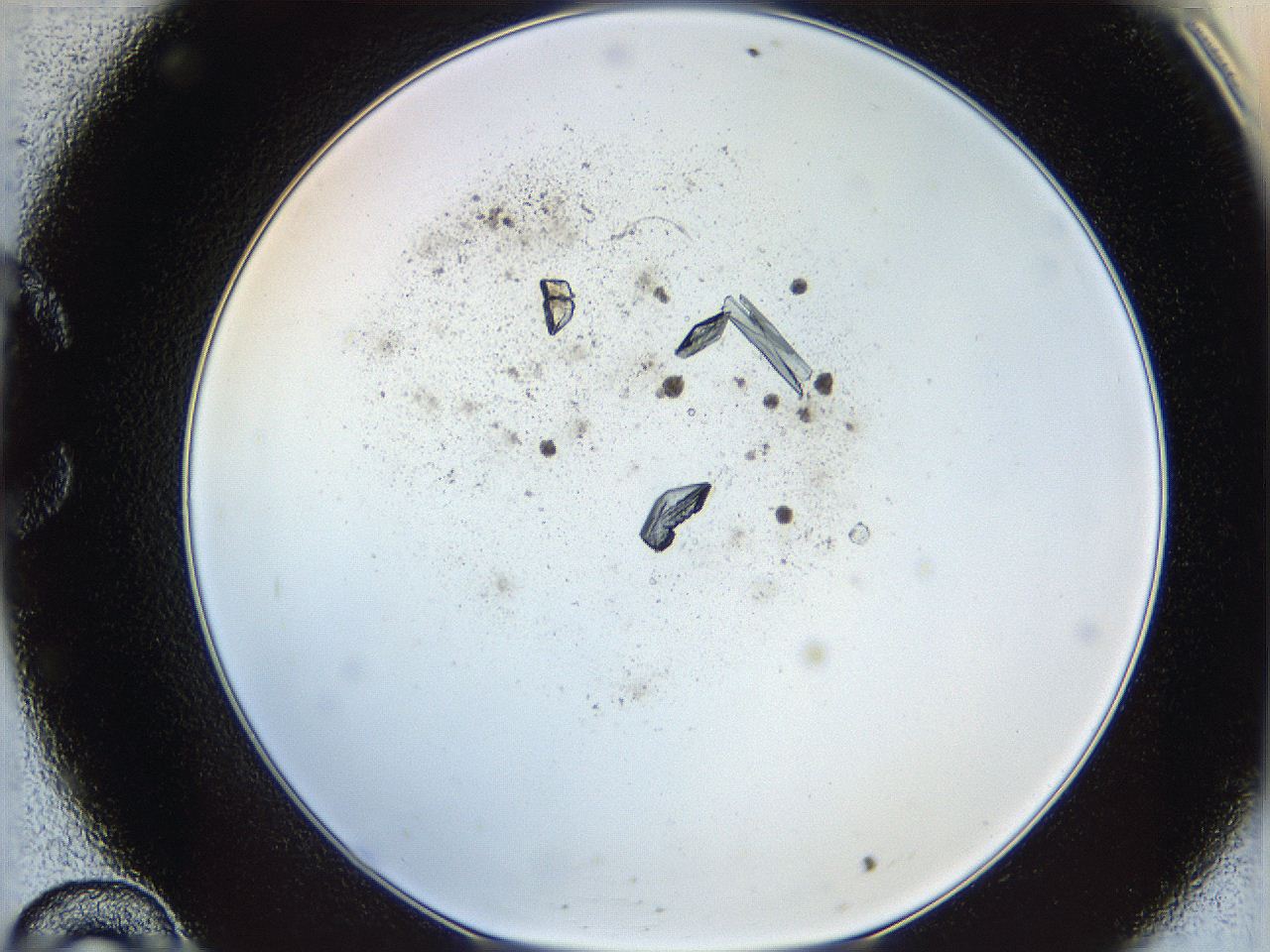 060g_C10_ImagerDefaults_9.jpg