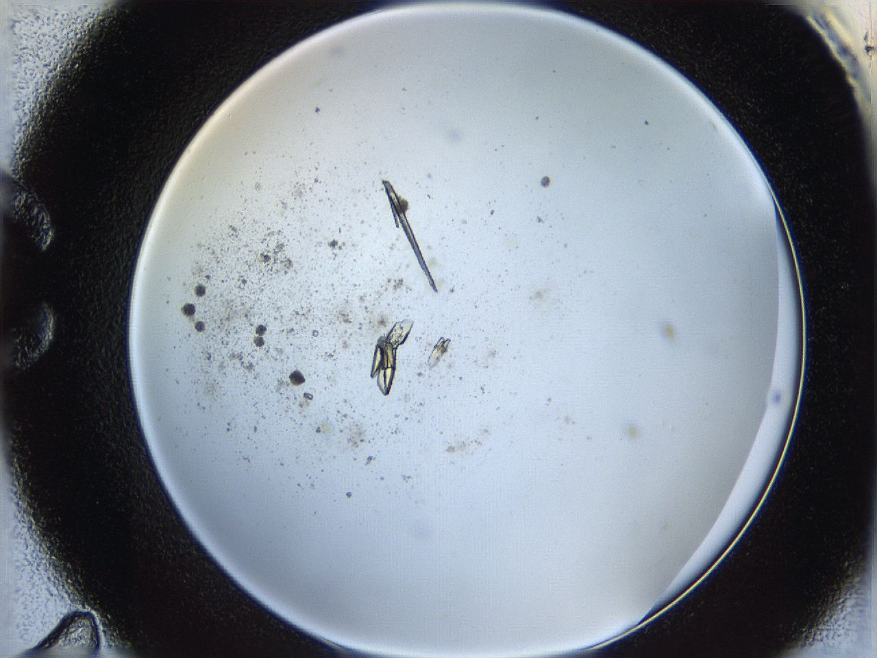 060g_C11_ImagerDefaults_8.jpg