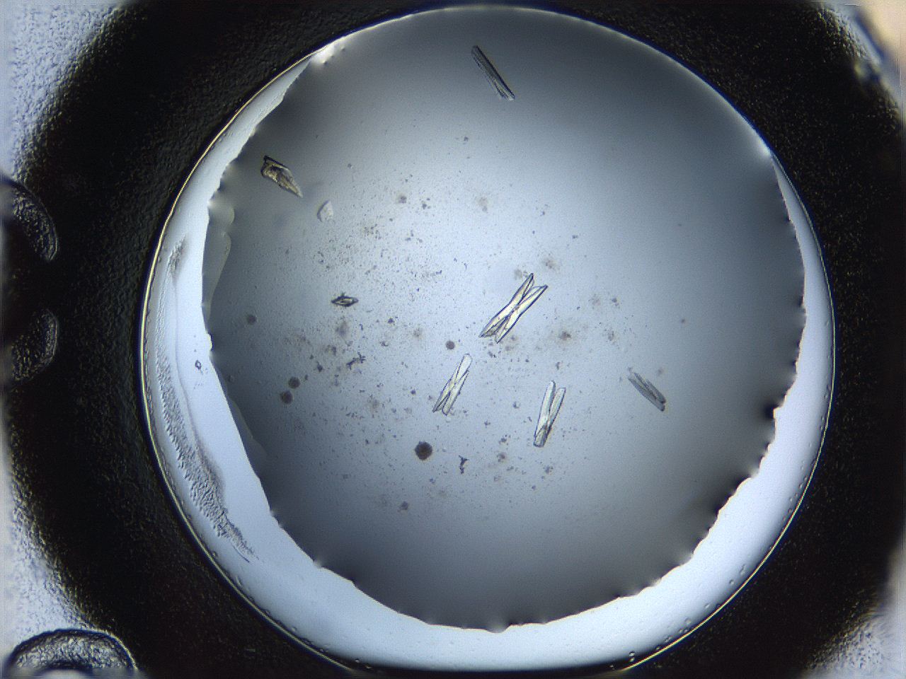 060g_C12_ImagerDefaults_8.jpg