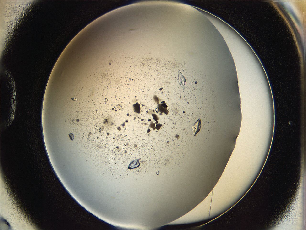 060g_D2_ImagerDefaults_9.jpg