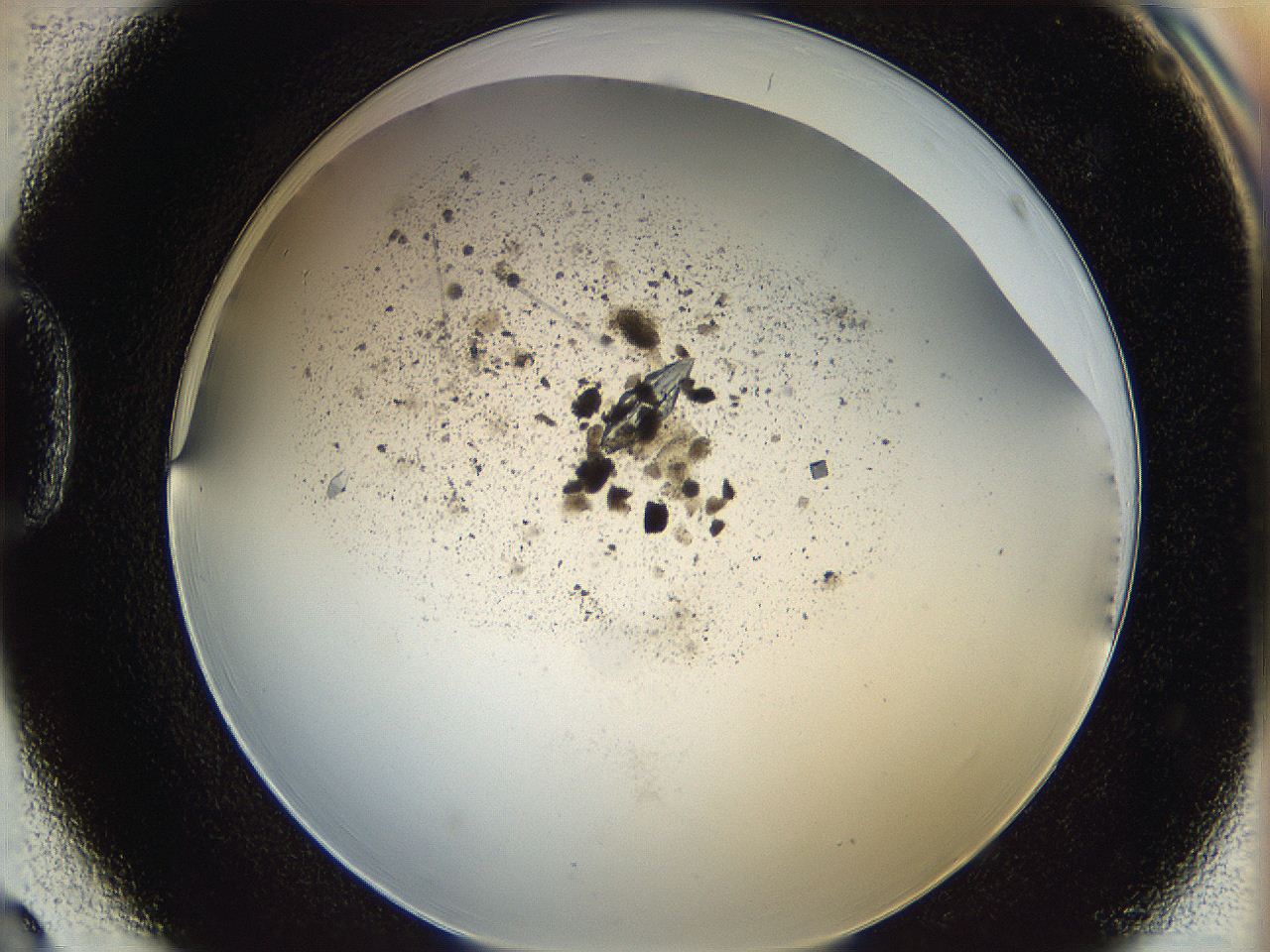 060g_D3_ImagerDefaults_8.jpg