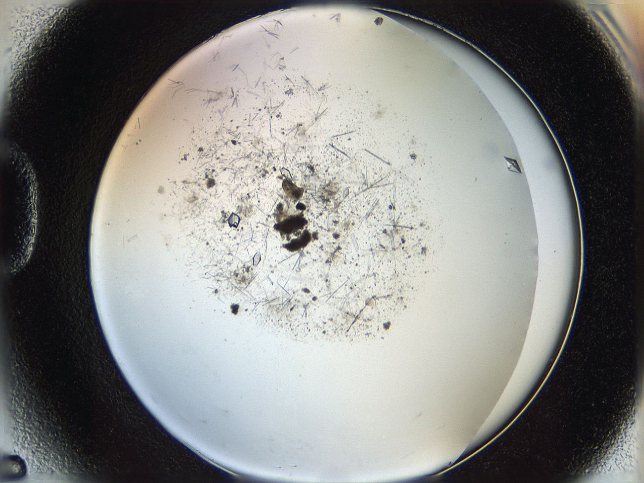 060g_D5_ImagerDefaults_8.jpg