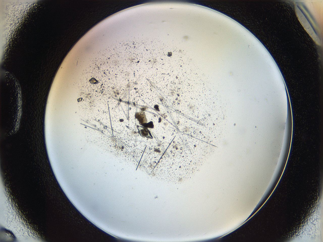 060g_D6_ImagerDefaults_8.jpg