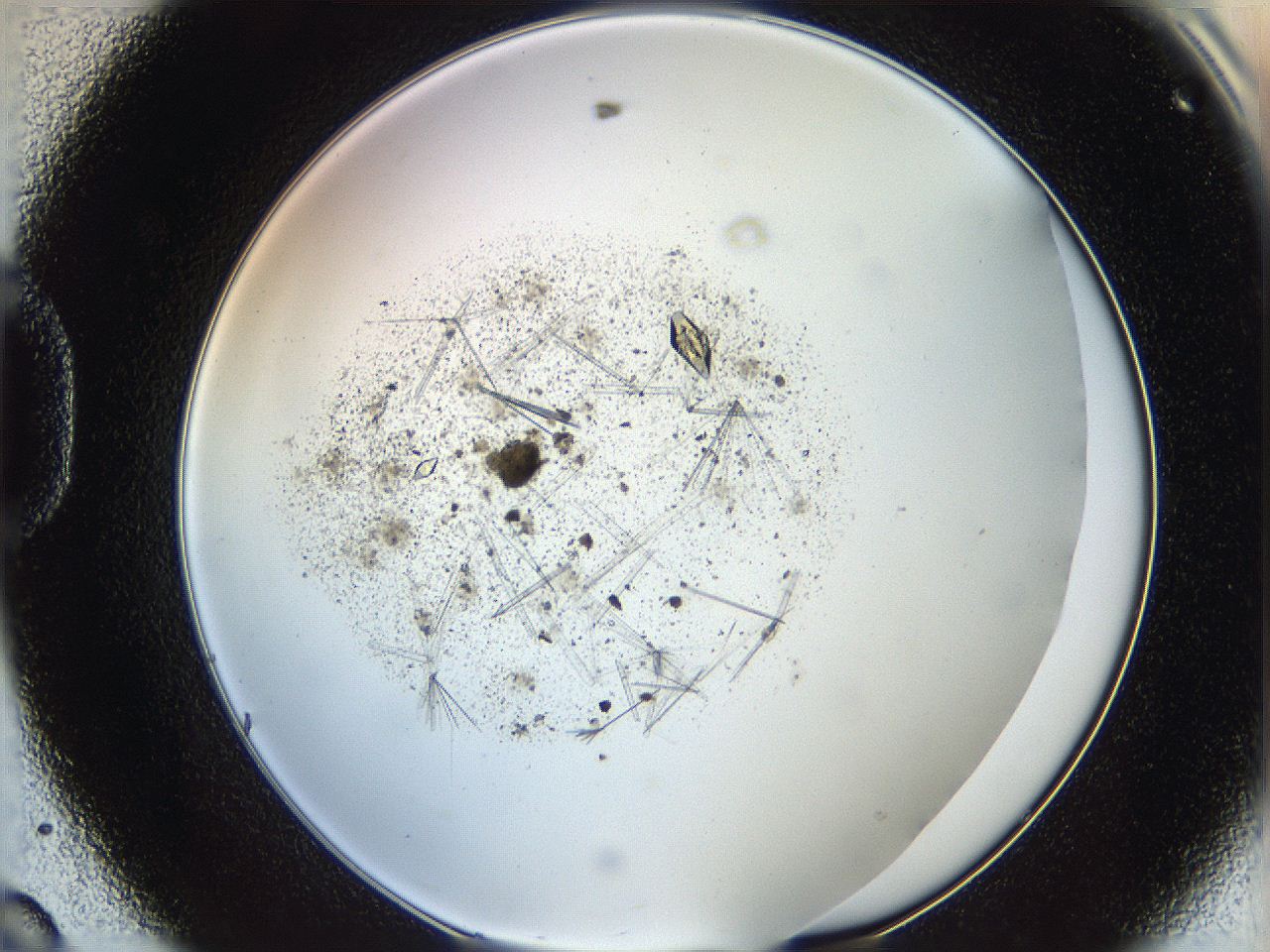 060g_D8_ImagerDefaults_9.jpg