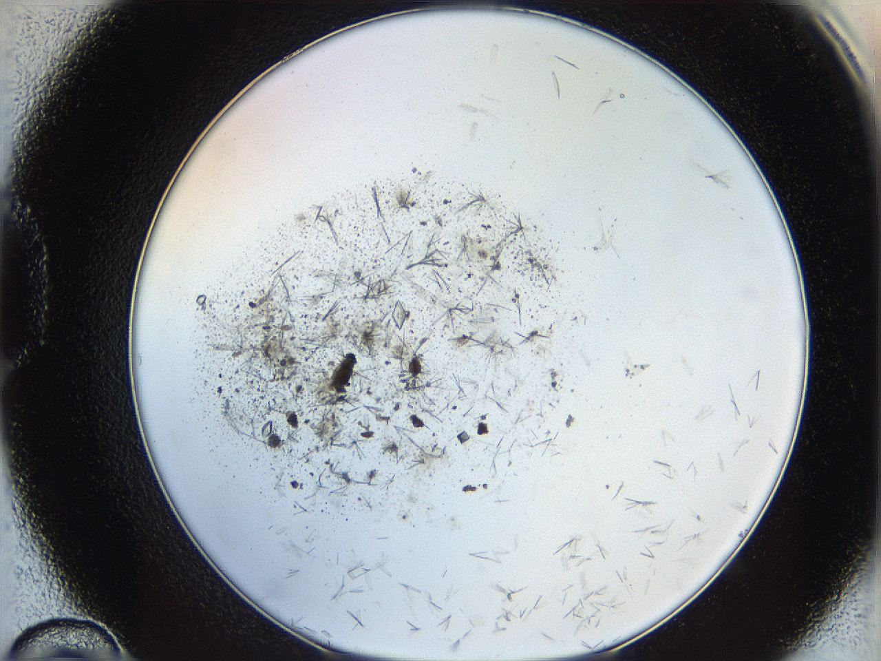 060g_D10_ImagerDefaults_7.jpg