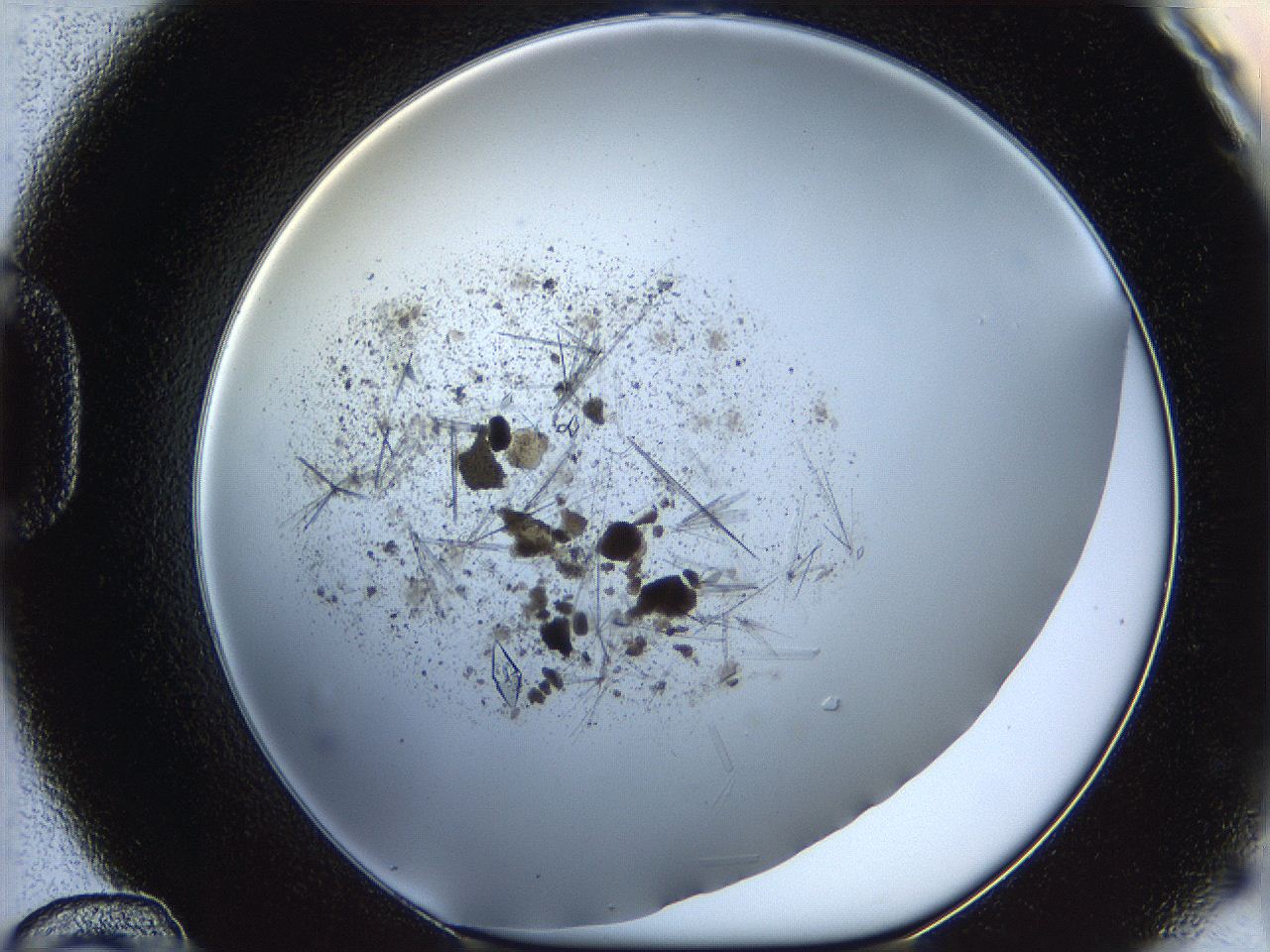 060g_D12_ImagerDefaults_8.jpg
