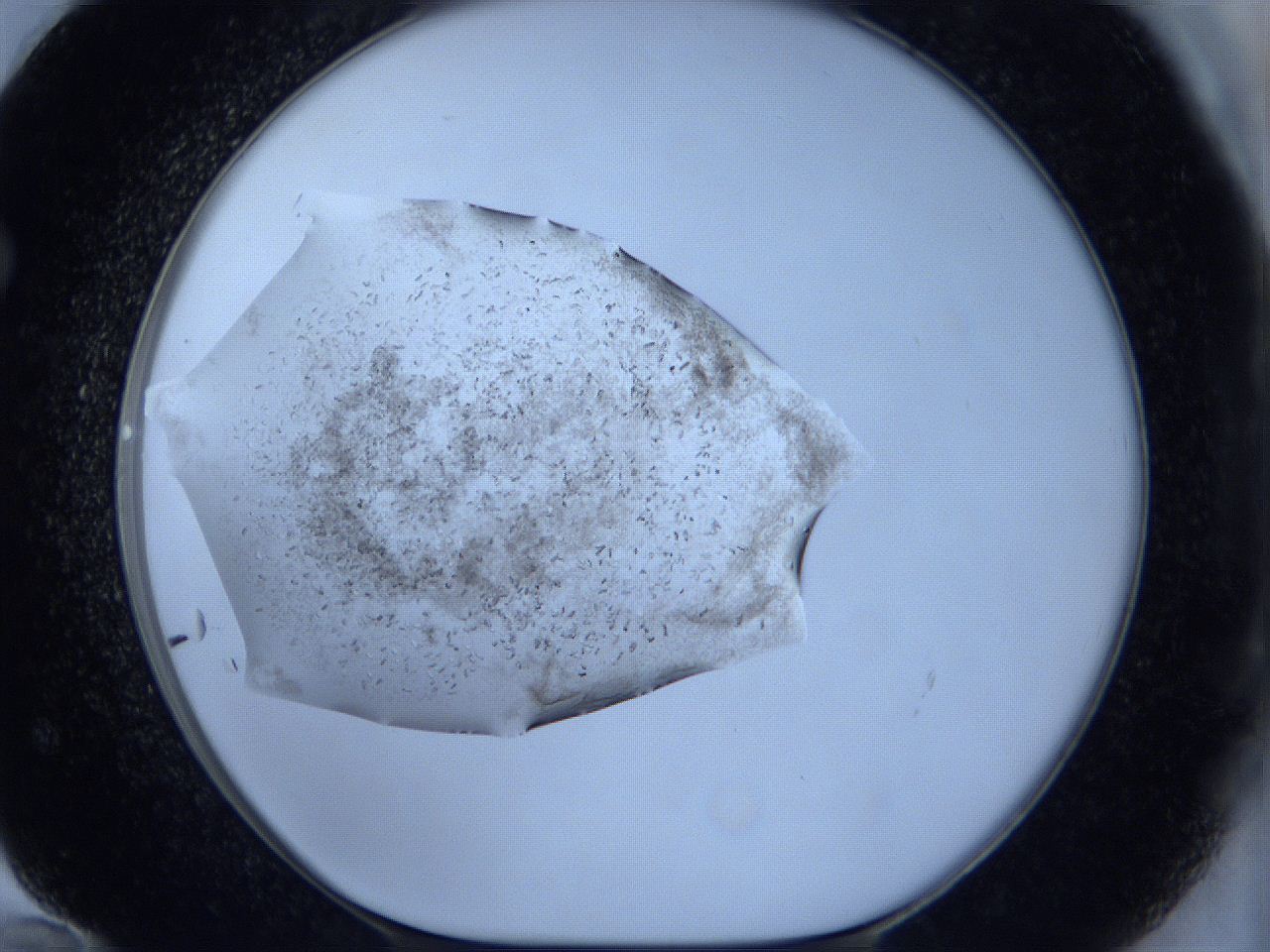 060k_F12_ImagerDefaults_6.jpg