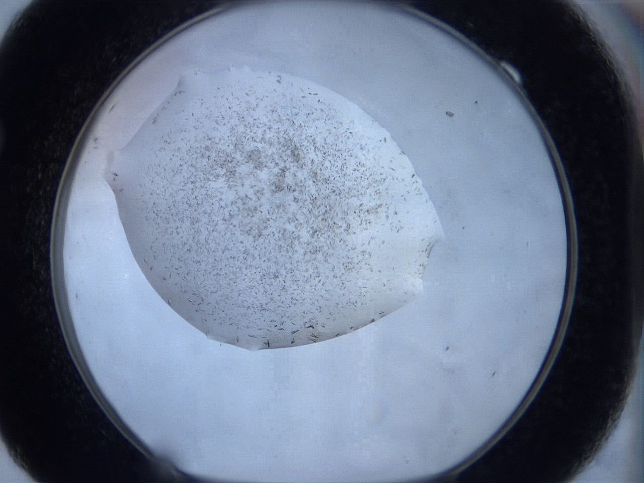 060k_F9_ImagerDefaults_6.jpg