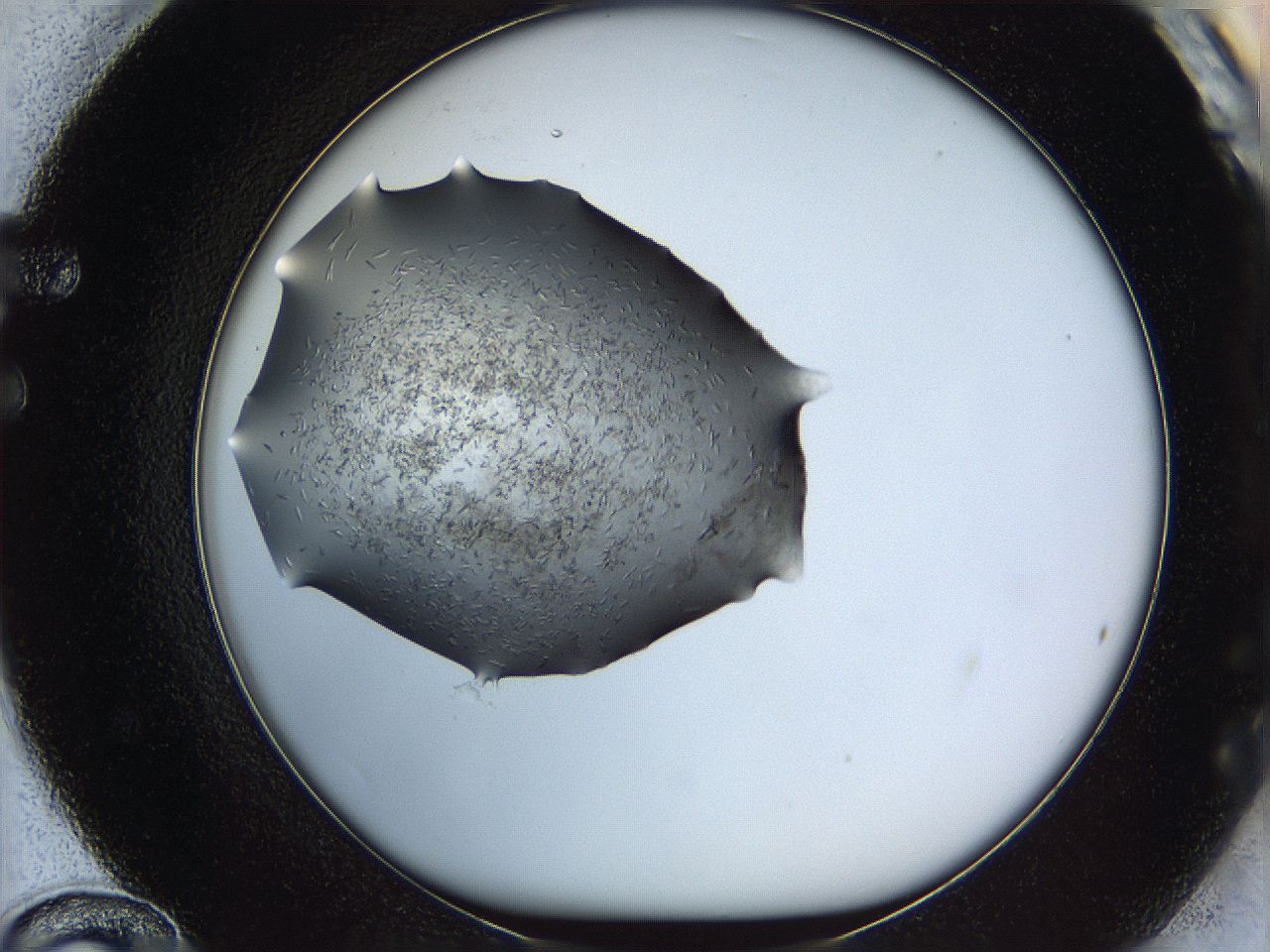 060l_F12_ImagerDefaults_6.jpg