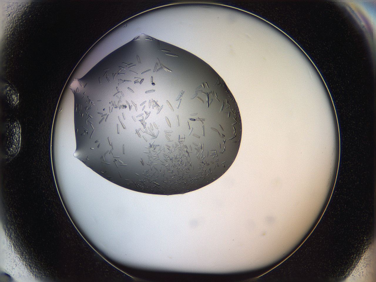 060l_G9_ImagerDefaults_7.jpg