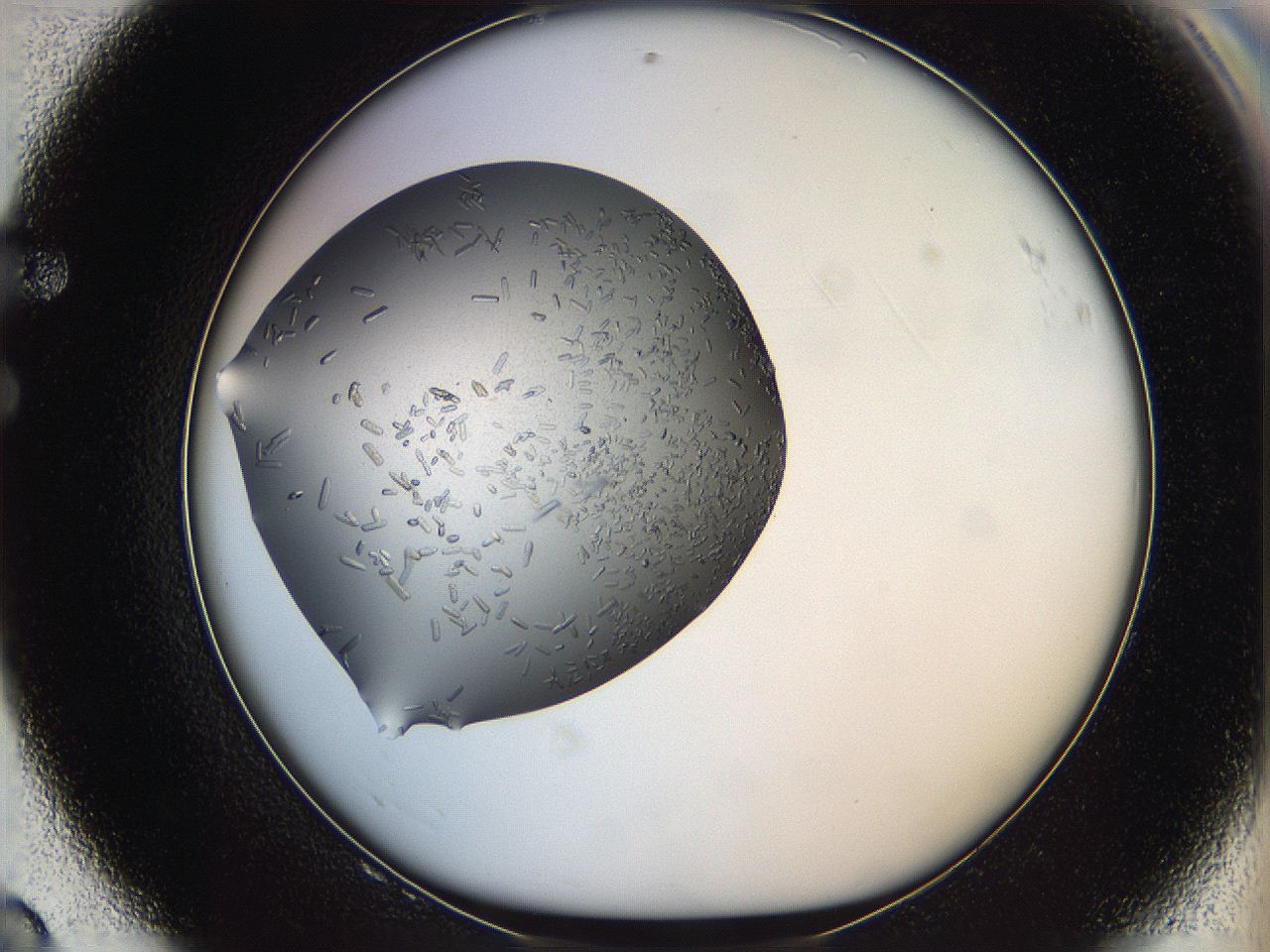060l_F8_ImagerDefaults_8.jpg
