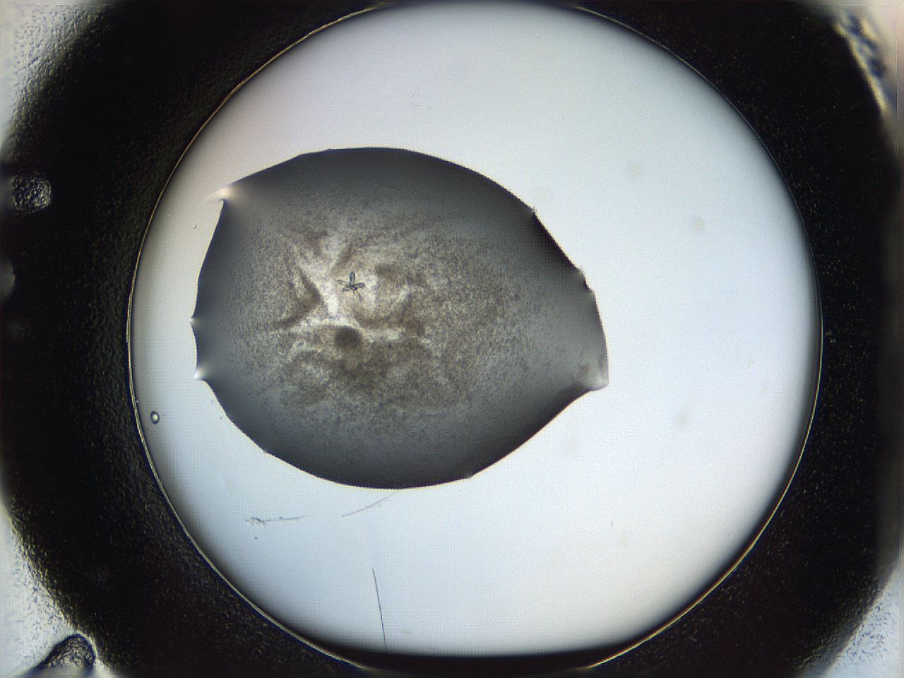 060l_F11_ImagerDefaults_7.jpg