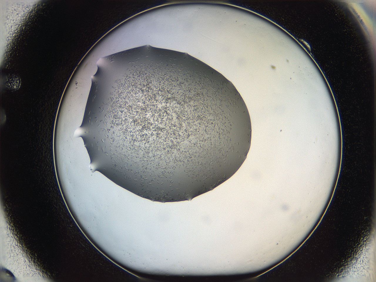 060l_F9_ImagerDefaults_6.jpg