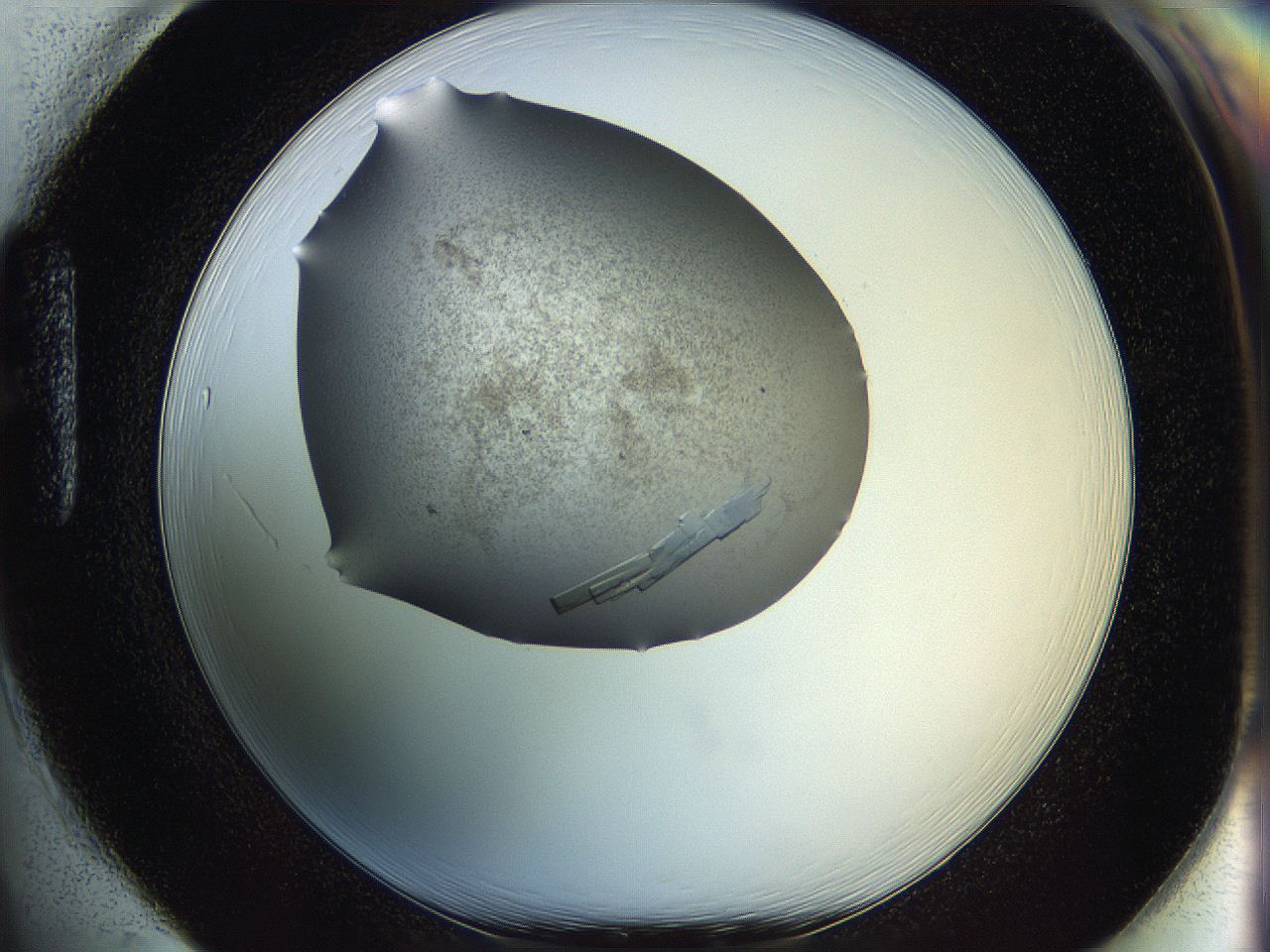 060l_H1_ImagerDefaults_9.jpg