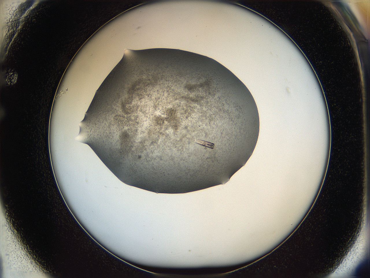 060l_F1_ImagerDefaults_9.jpg