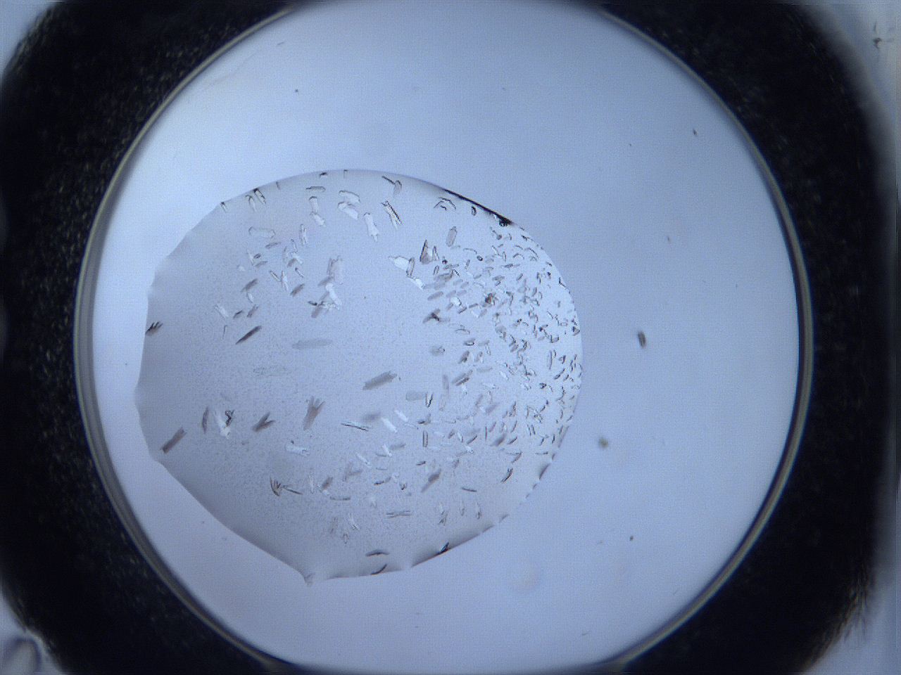 060m_C11_ImagerDefaults_8.jpg