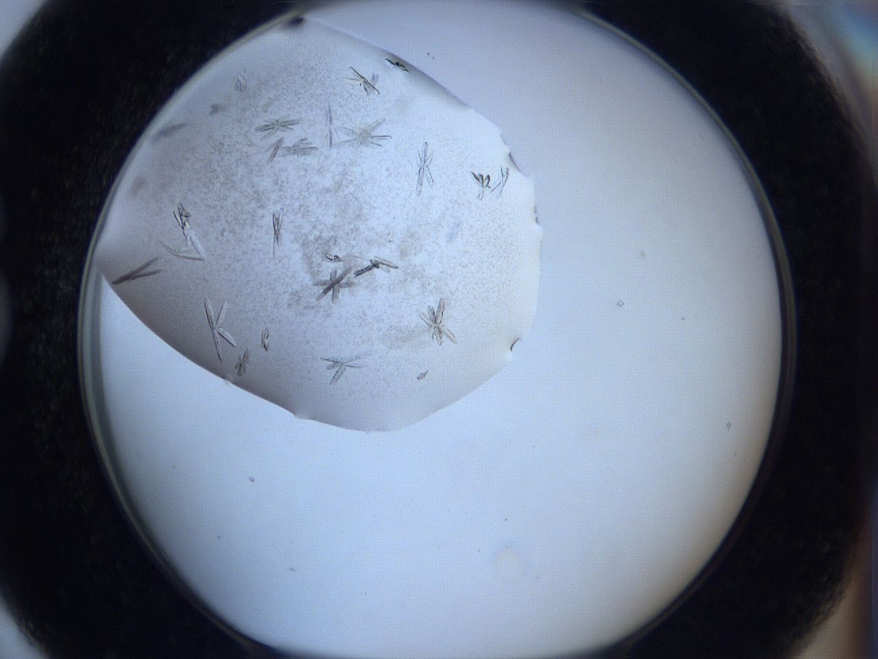 060m_G7_ImagerDefaults_8.jpg