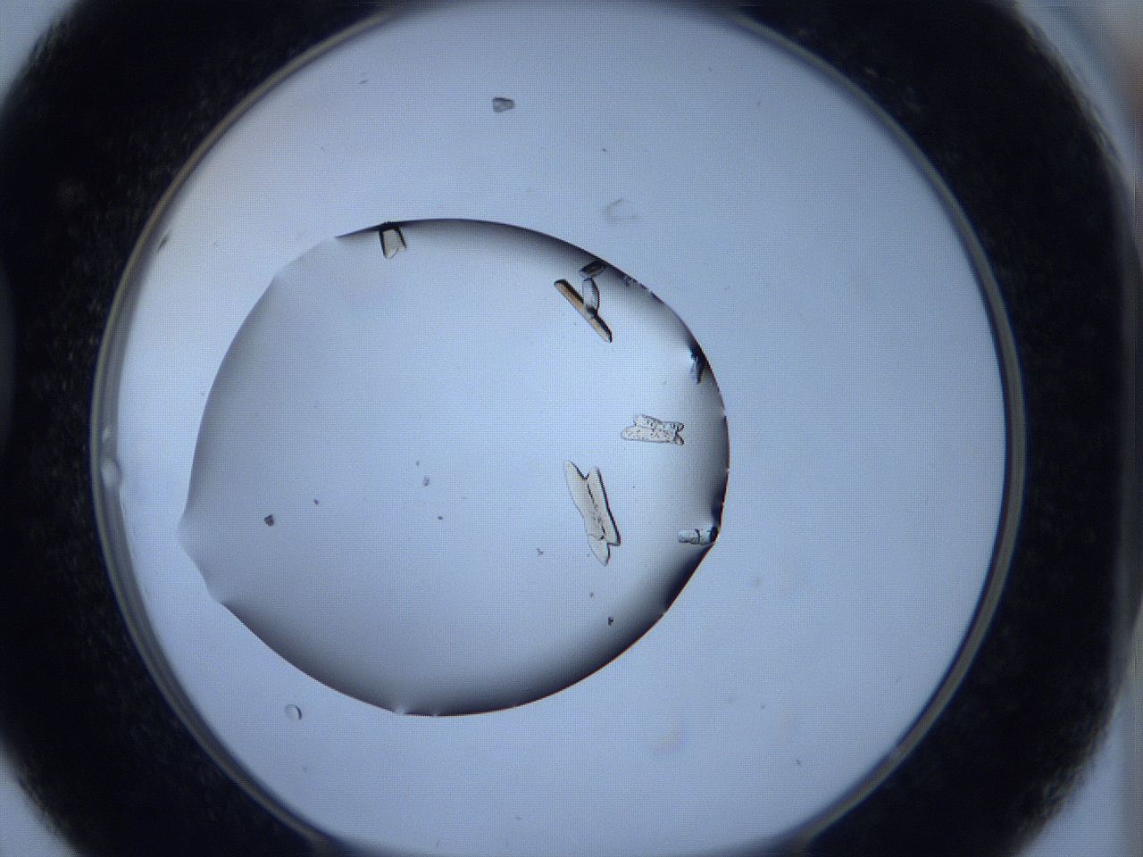 060m_D8_ImagerDefaults_9.jpg