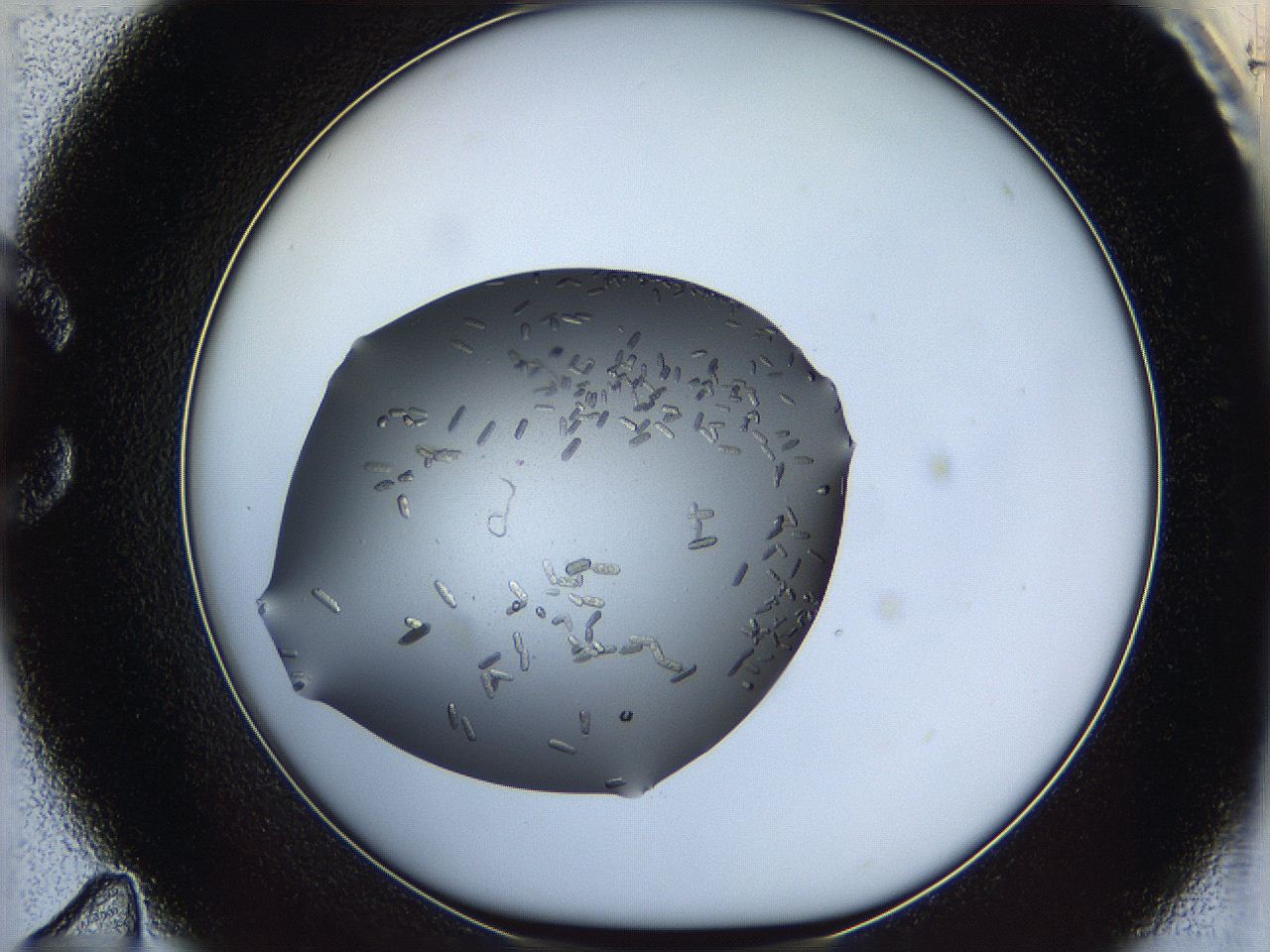 060n_C11_ImagerDefaults_9.jpg