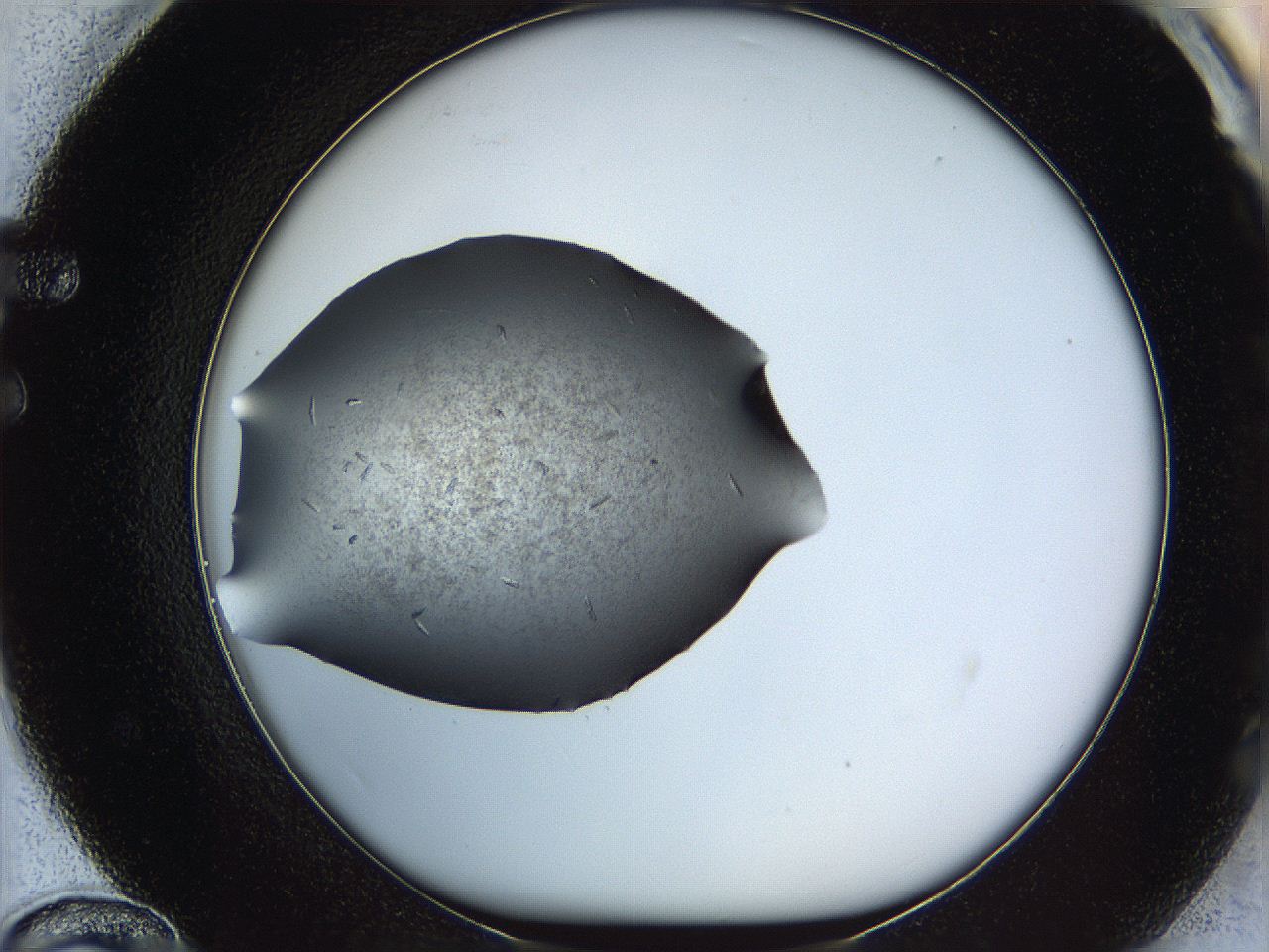 060o_F12_ImagerDefaults_7.jpg
